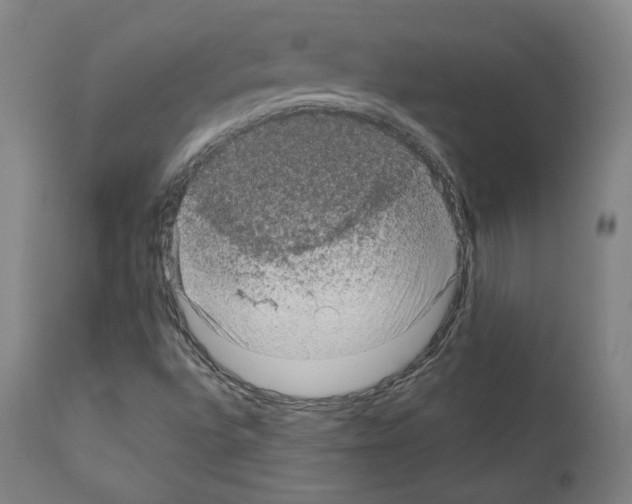 X0000110891496200907301529