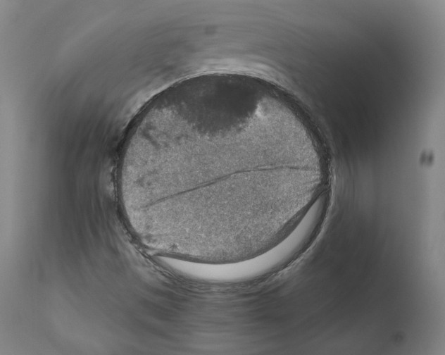 X0000110891497200907301529