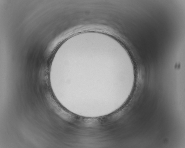 X0000110891498200907301529