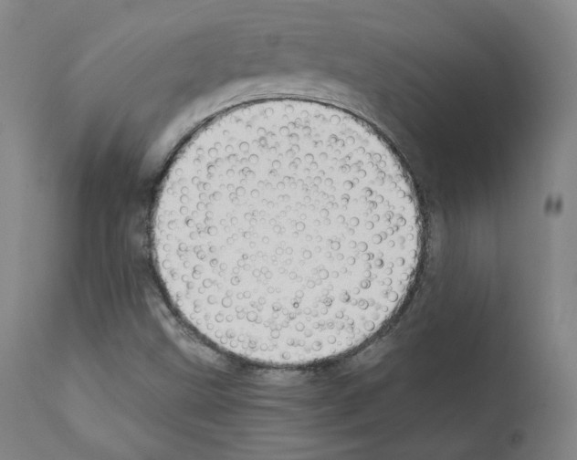 X0000110891499200907301529