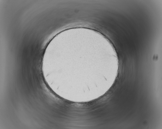 X0000110891500200907301529