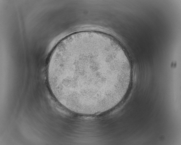 X0000110891501200907301529