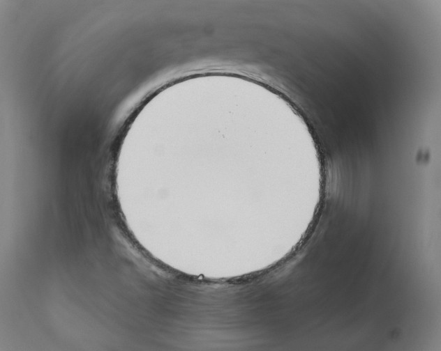 X0000110891502200907301529