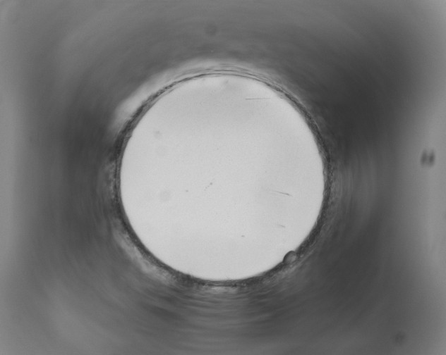 X0000110891503200907301530