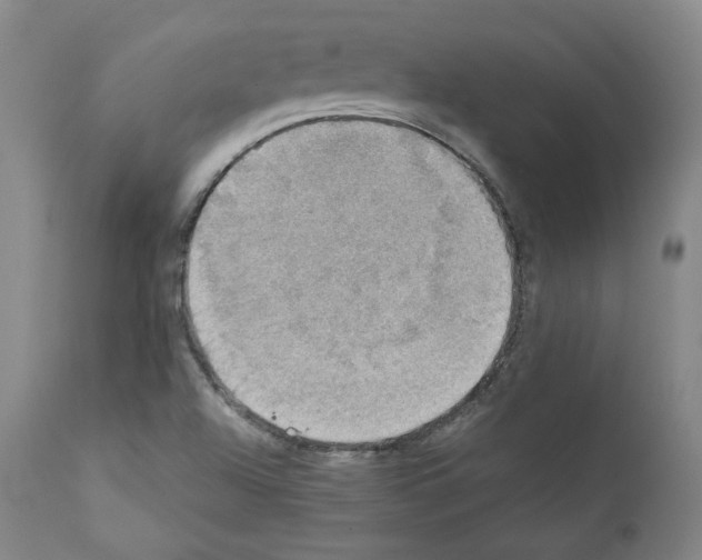 X0000110891504200907301530