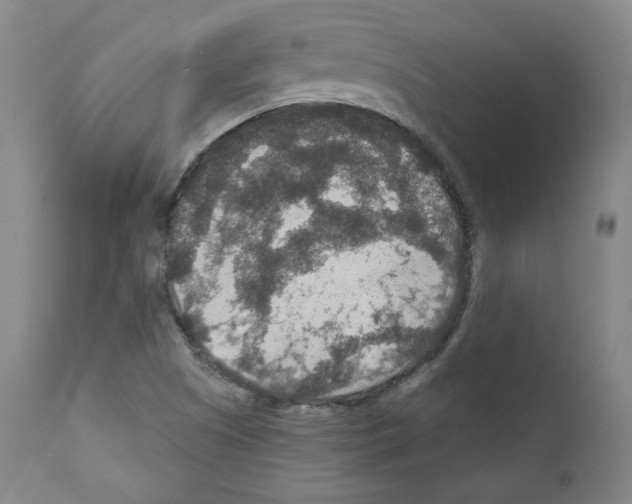 X0000110891505200907301530