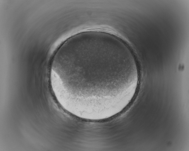 X0000110891506200907301530