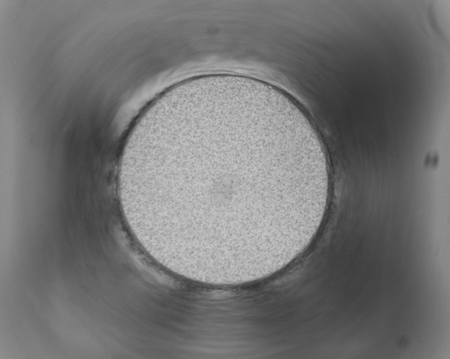 X0000110891507200907301530