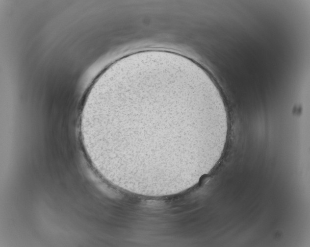 X0000110891511200907301530