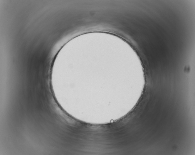 X0000110891512200907301530