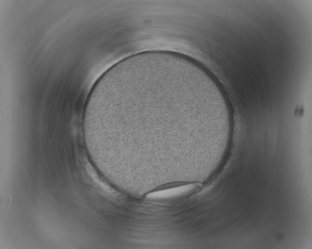 X0000110891513200907301530