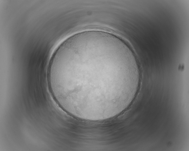 X0000110891514200907301530