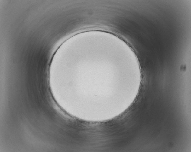 X0000110891516200907301530