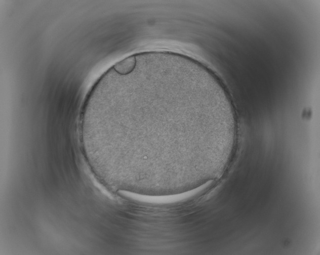 X0000110891517200907301530