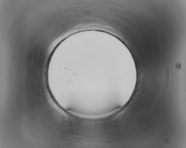 X0000110891518200907301530
