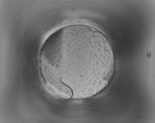 X0000110891519200907301530