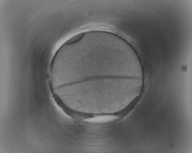 X0000110891520200907301530