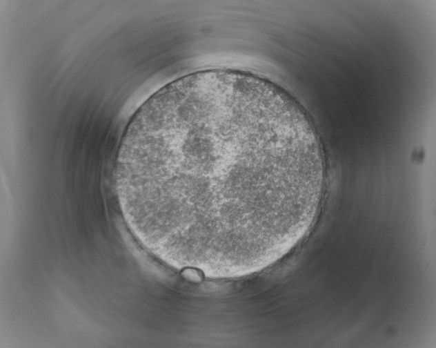 X0000110891521200907301530