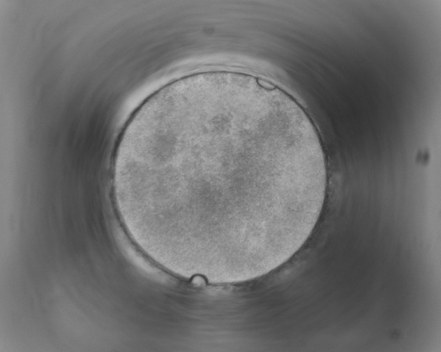 X0000110891523200907301530