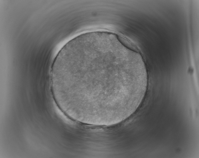 X0000110891524200907301530