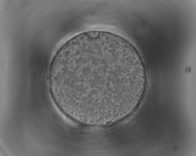 X0000110891525200907301530