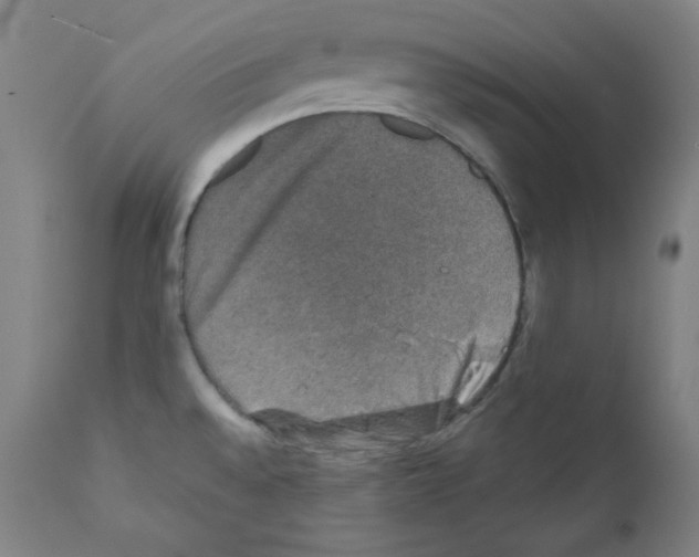 X0000110891528200907301530