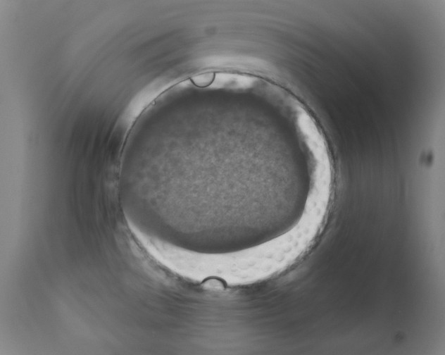 X0000110891529200907301530