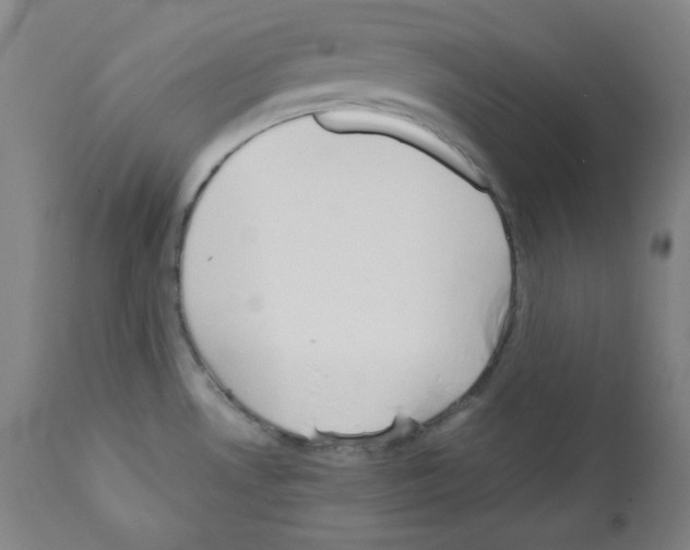 X0000110891530200907301530