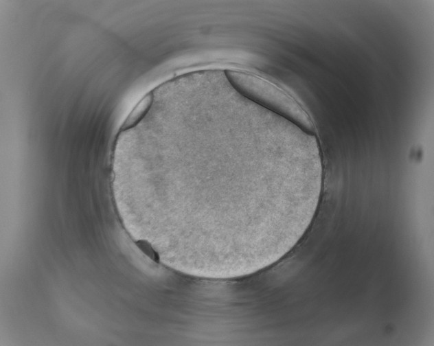 X0000110891532200907301530