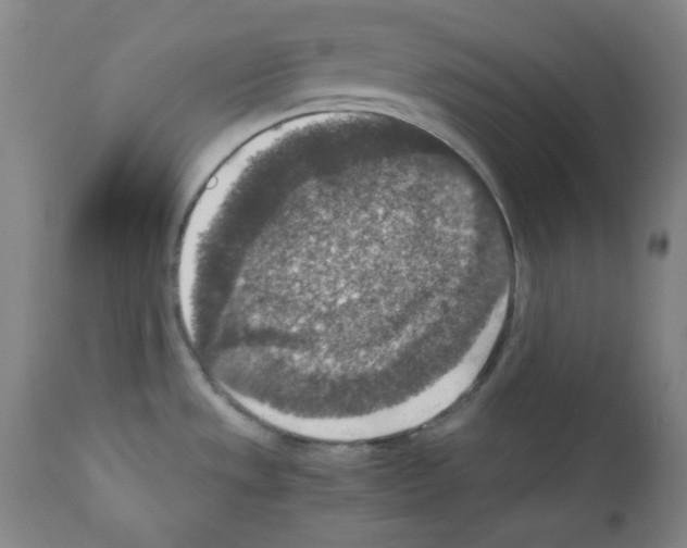 X0000110891533200907301530
