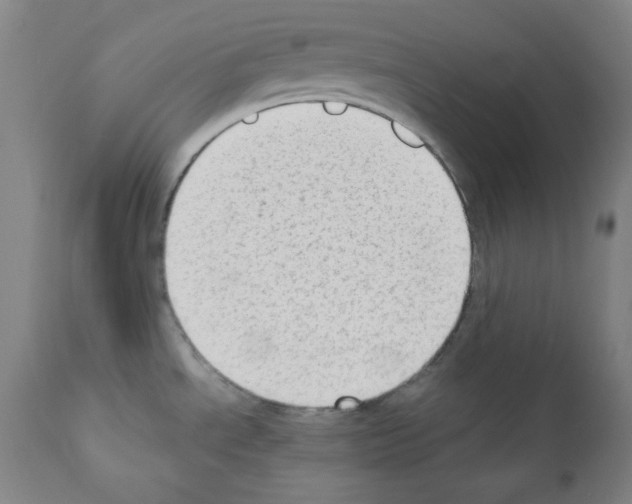 X0000110891534200907301530