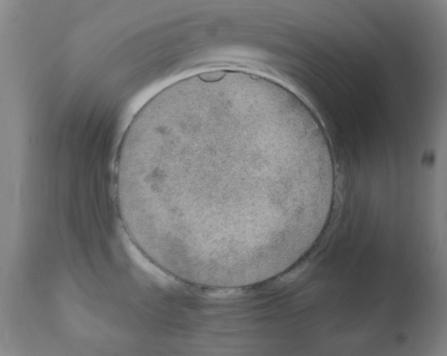 X0000110891535200907301530