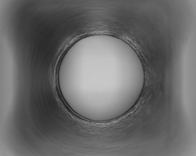 X0000110900002200906180955
