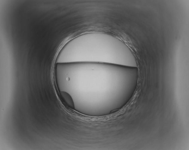 X0000110900003200906180955