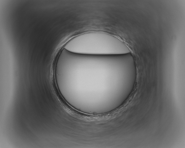 X0000110900005200906180955