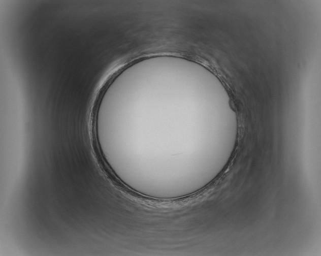 X0000110900006200906180955