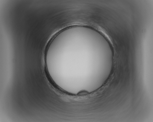X0000110900011200906180955