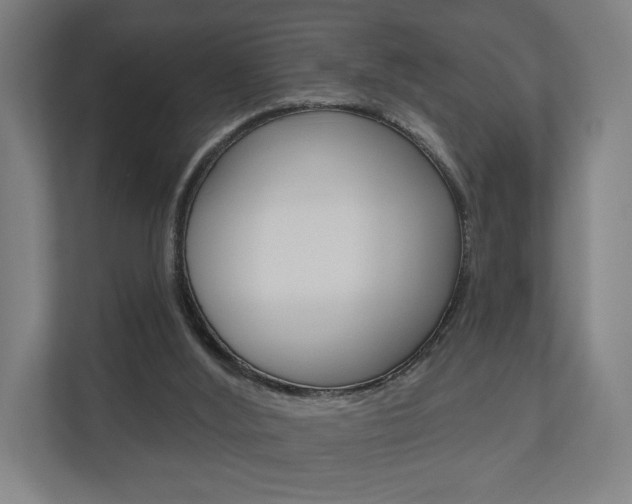 X0000110900012200906180955