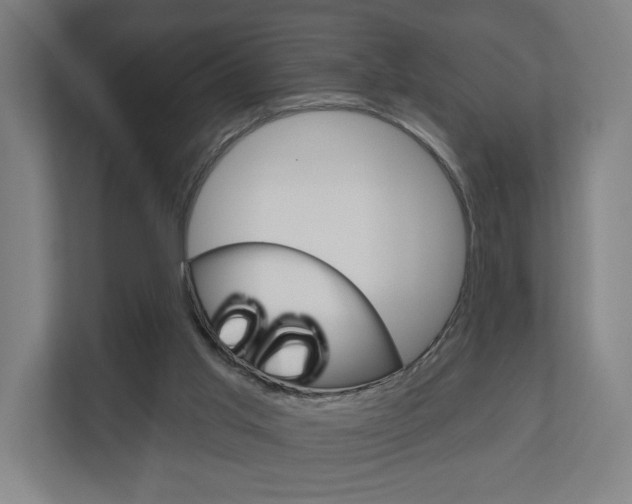 X0000110900013200906180955