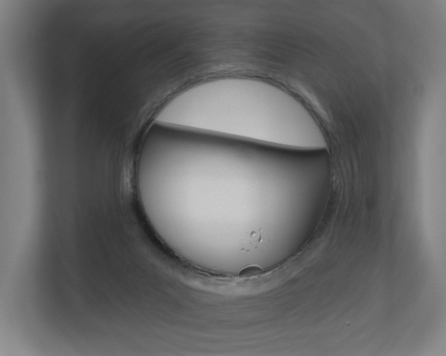 X0000110900023200906180955
