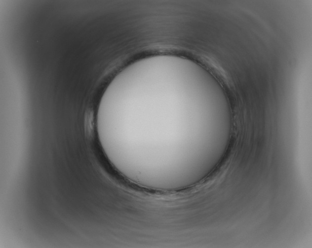 X0000110900024200906180955
