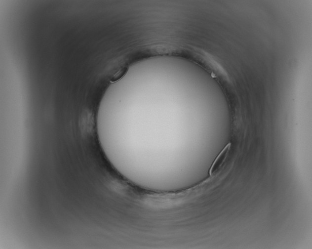 X0000110900025200906180955