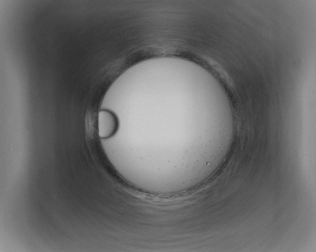 X0000110900026200906180955