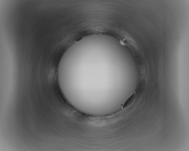 X0000110900029200906180955