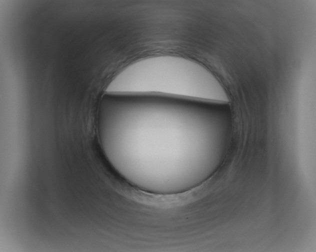 X0000110900031200906180955