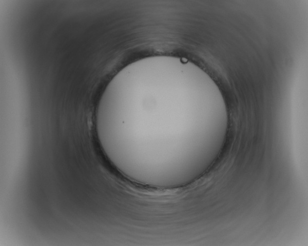 X0000110900032200906180955