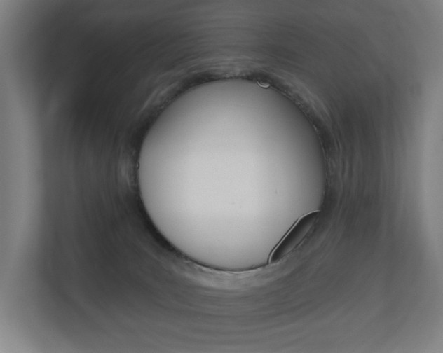 X0000110900035200906180955