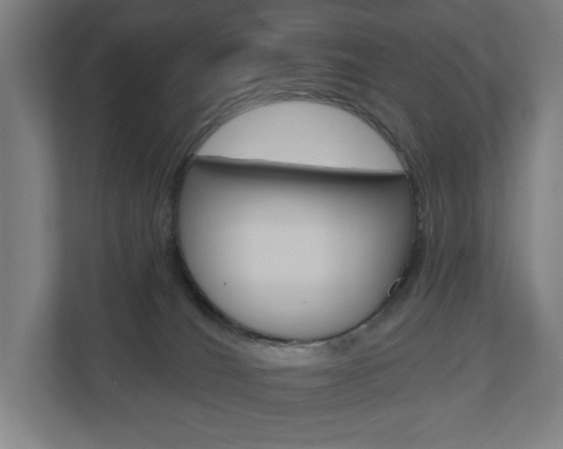 X0000110900036200906180955