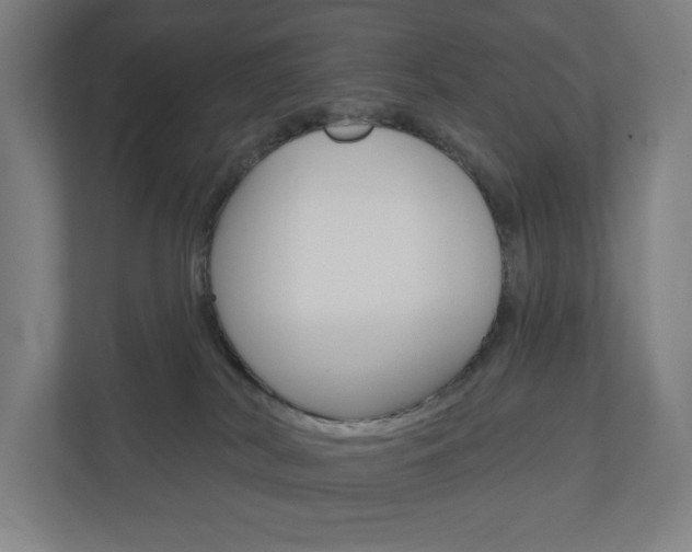 X0000110900038200906180955