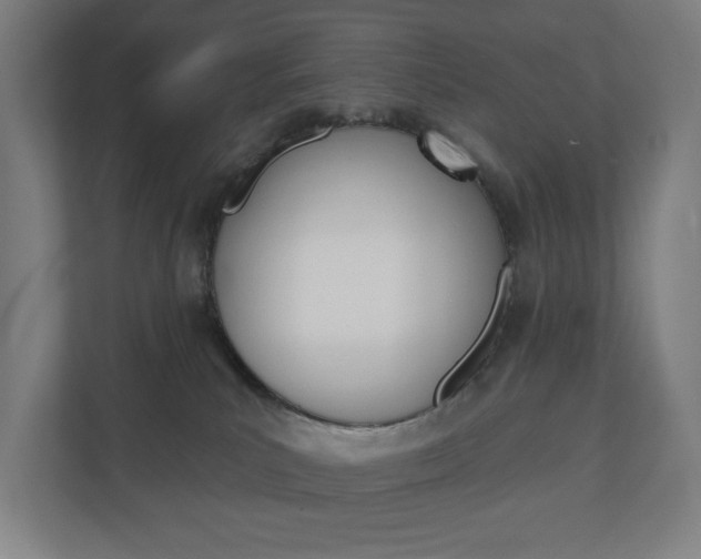 X0000110900039200906180955
